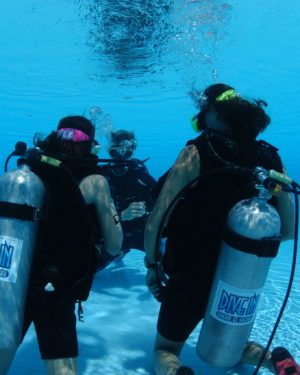 addestramento in piscina