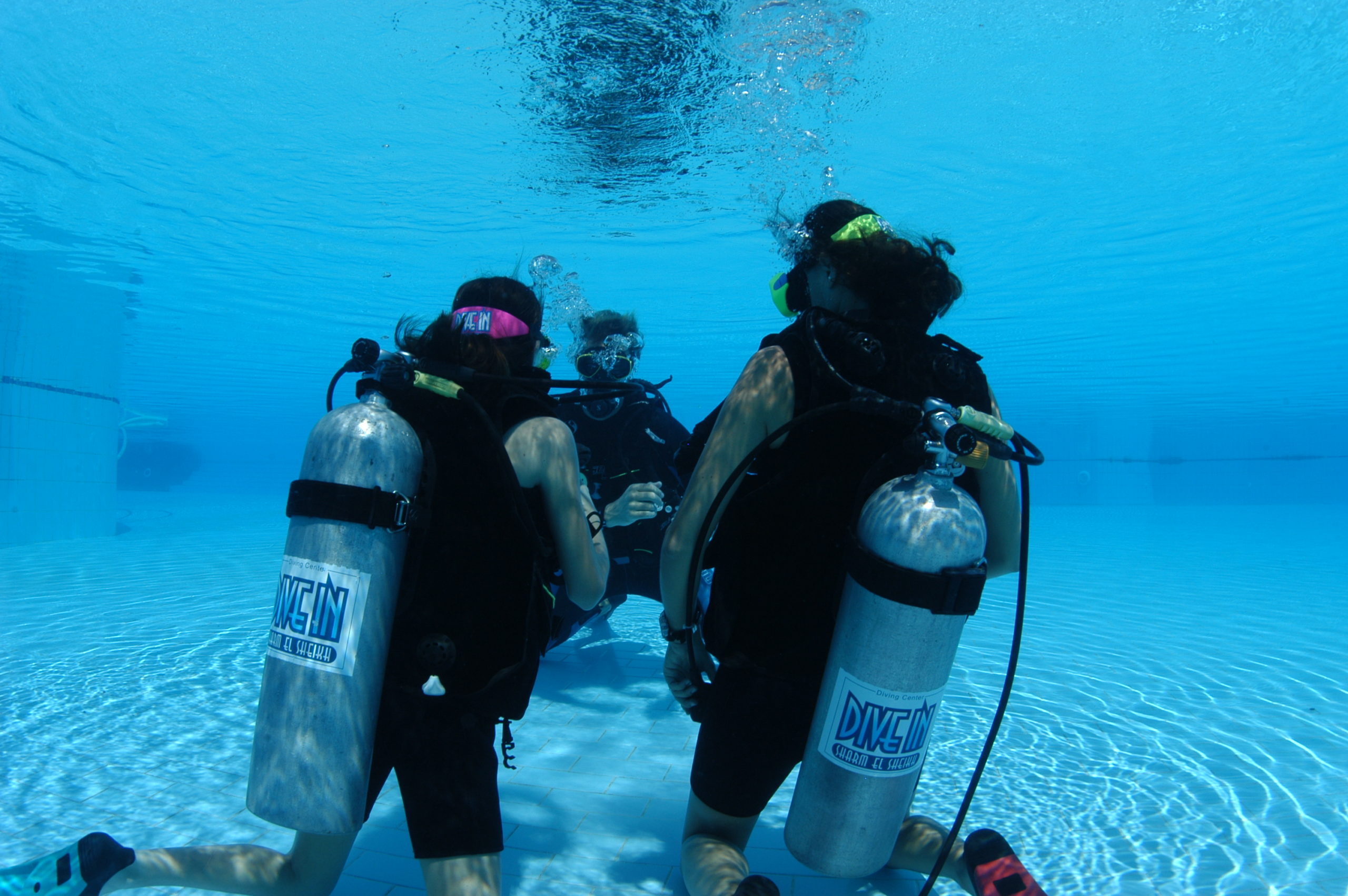 05_Dive_In addestramento in piscina